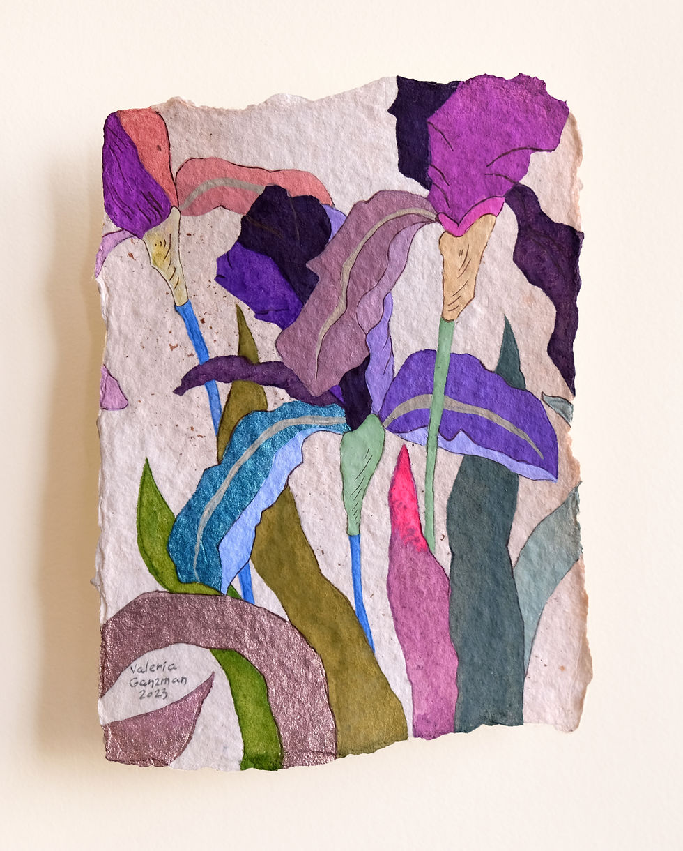 Thumbnail: Irises of Light Amidst Darkness