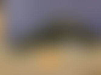 Colt Python .357 Mag Limited Run!