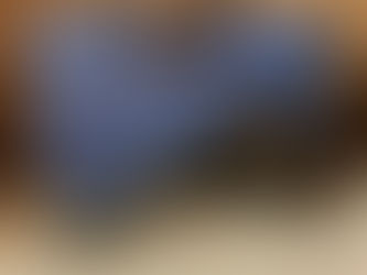 Smith & Wesson Model 41 