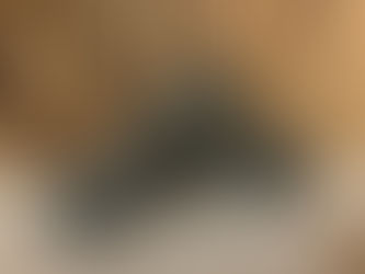 Smith & Wesson M&P 22 Compact