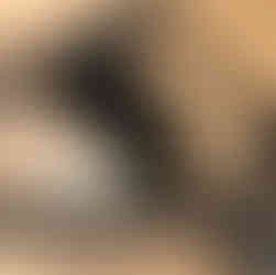 Pierre small inside MyPack, bovenaanzicht