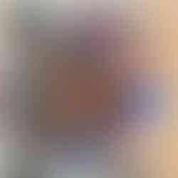 Tommy STP op de Rodeoh zak