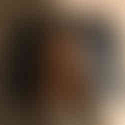 The Squire top down view