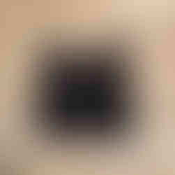 Danae binder achterkant