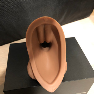 The Squire back view