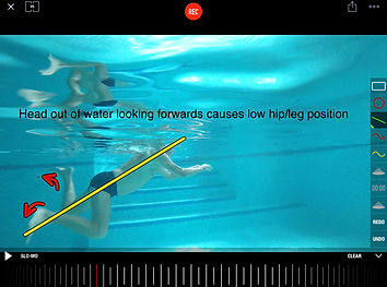 screenshot of a breaststroke video analysis