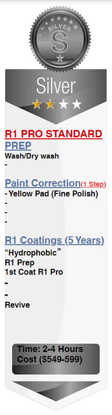 silver coat 1.PNG