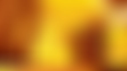 Phenomenally Pūjari