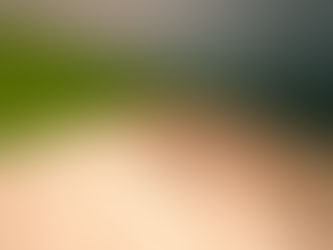 Third Bodies: Unsettling Natures in Posthuman Ecologies