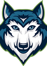 BAM_logo.png