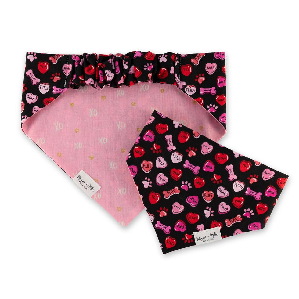 Puppy Love Pet Bandana
