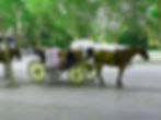 A horse and carriage in Seville