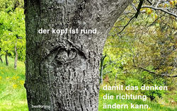 bestforyou fasten entgiften mit saft