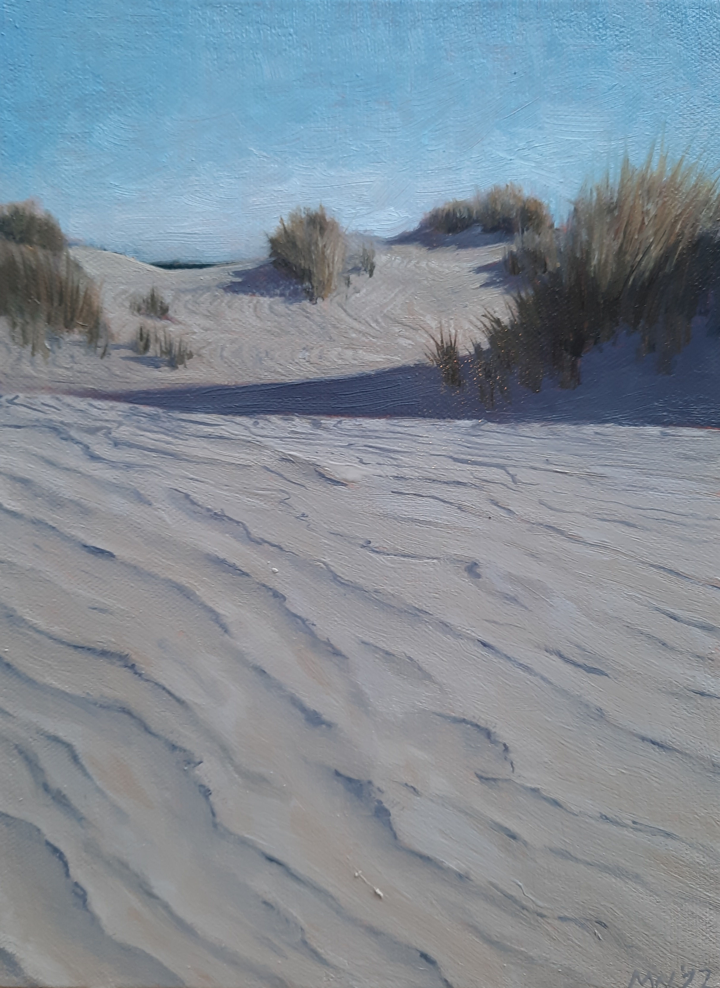 Duinen bij Hoek van Holland