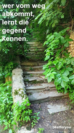 bestforyou auszeitfasten fastenreise
