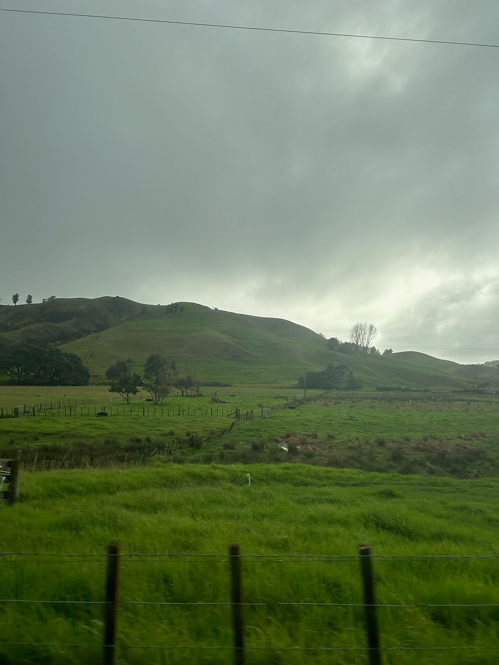 This was my view all morning from my window on the road... this is exactly like The Shire from the movies.