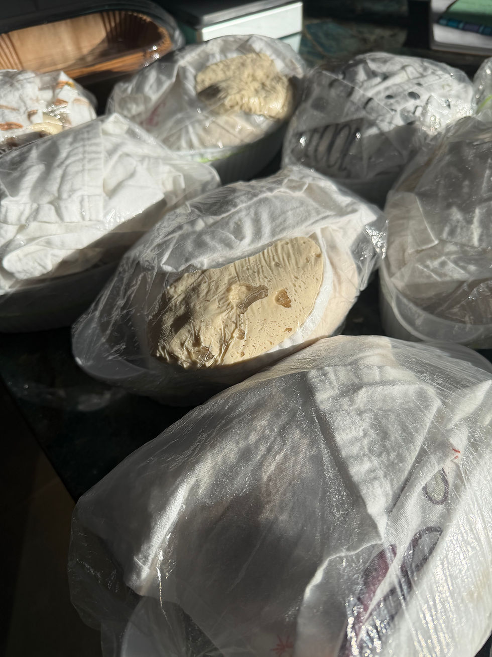 overproofed dough