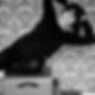 Angella Wagner Pilates