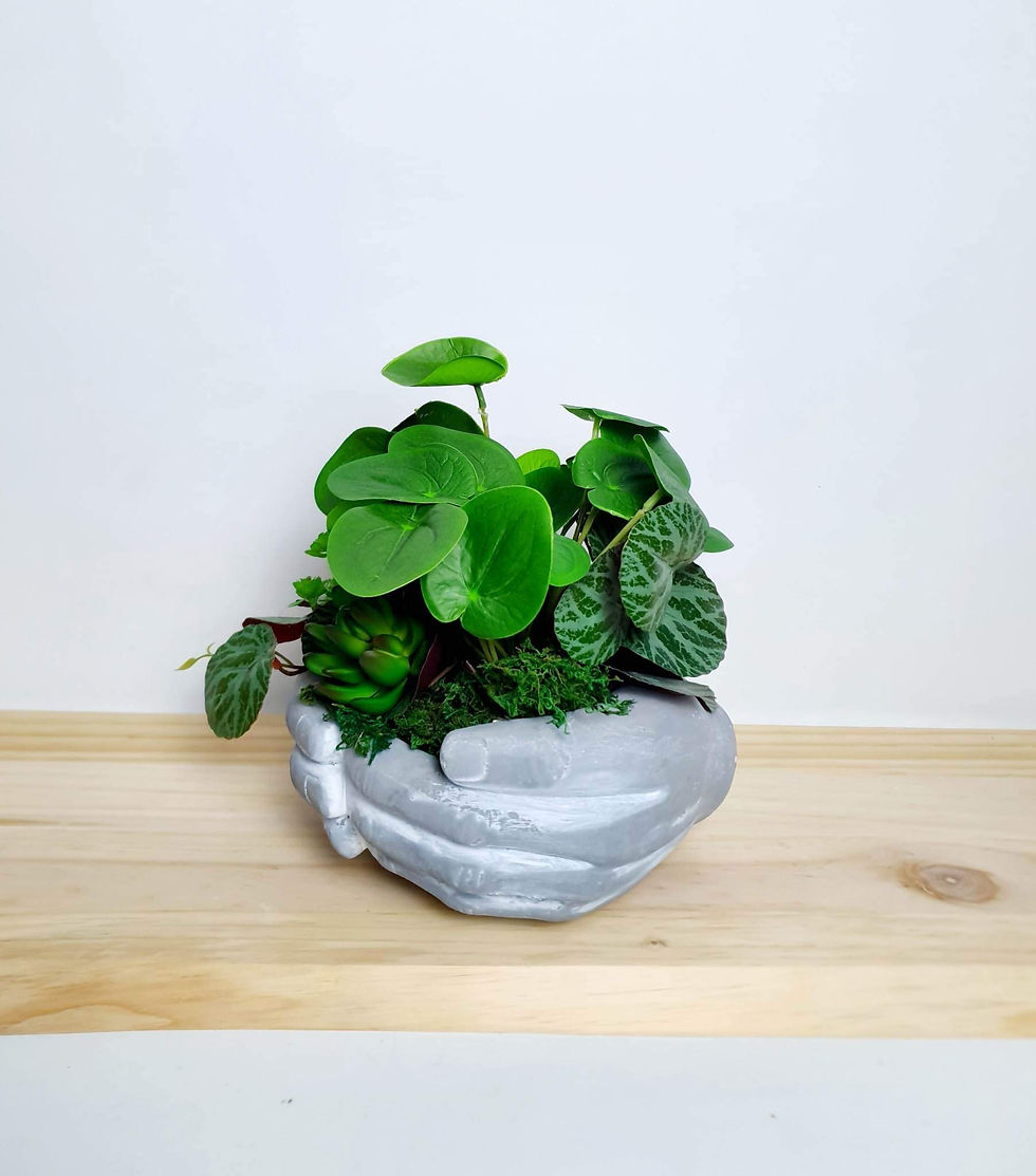 Thumbnail: Tropics and Succulents in a Decorative Hand Shaped Pot
