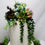 Thumbnail: Succulent Cake Flowers