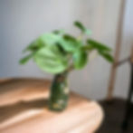 Money Jar Greenery Arrangement