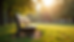 Eye-level view of a quiet park bench under soft sunlight