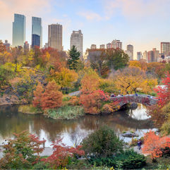 Central Park in Fall - Manhattan Skyline - Serj Markarian Associate Real Estate Broker Advisor in NYC