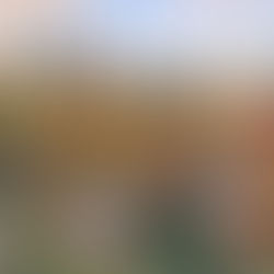 Central Park in Fall - Manhattan Skyline - Serj Markarian Associate Real Estate Broker Advisor in NYC