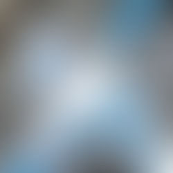 Navigating the Housing Market Post-Election