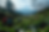 5FOLDAVE_BG_Edited .png