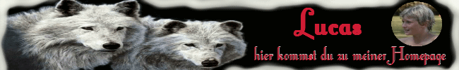 Banner Lucas.gif