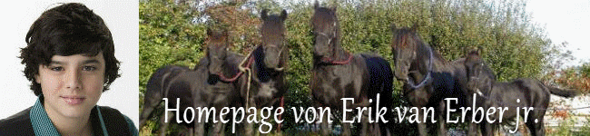 Banner - Erik.gif