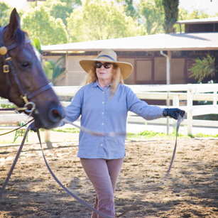 Bennett farms, los angeles equestrian center, laec, burbank, horse, horseback, riding, lessons, lunge, lead line, horse, equine, saddle seat, american saddlebred, horse trainer, lessons, barn, stables