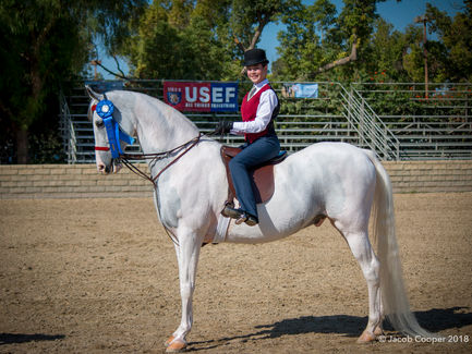 Bennett Farms SWSL Show Results