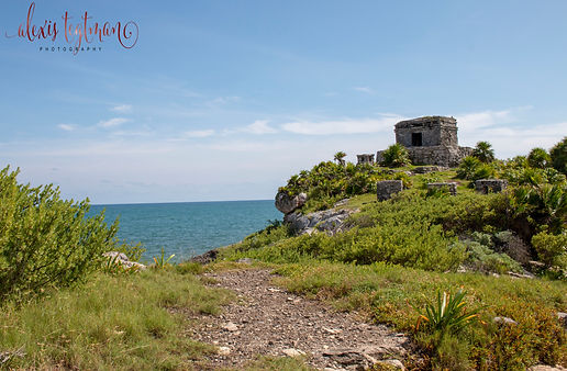IMG_9929.jpg