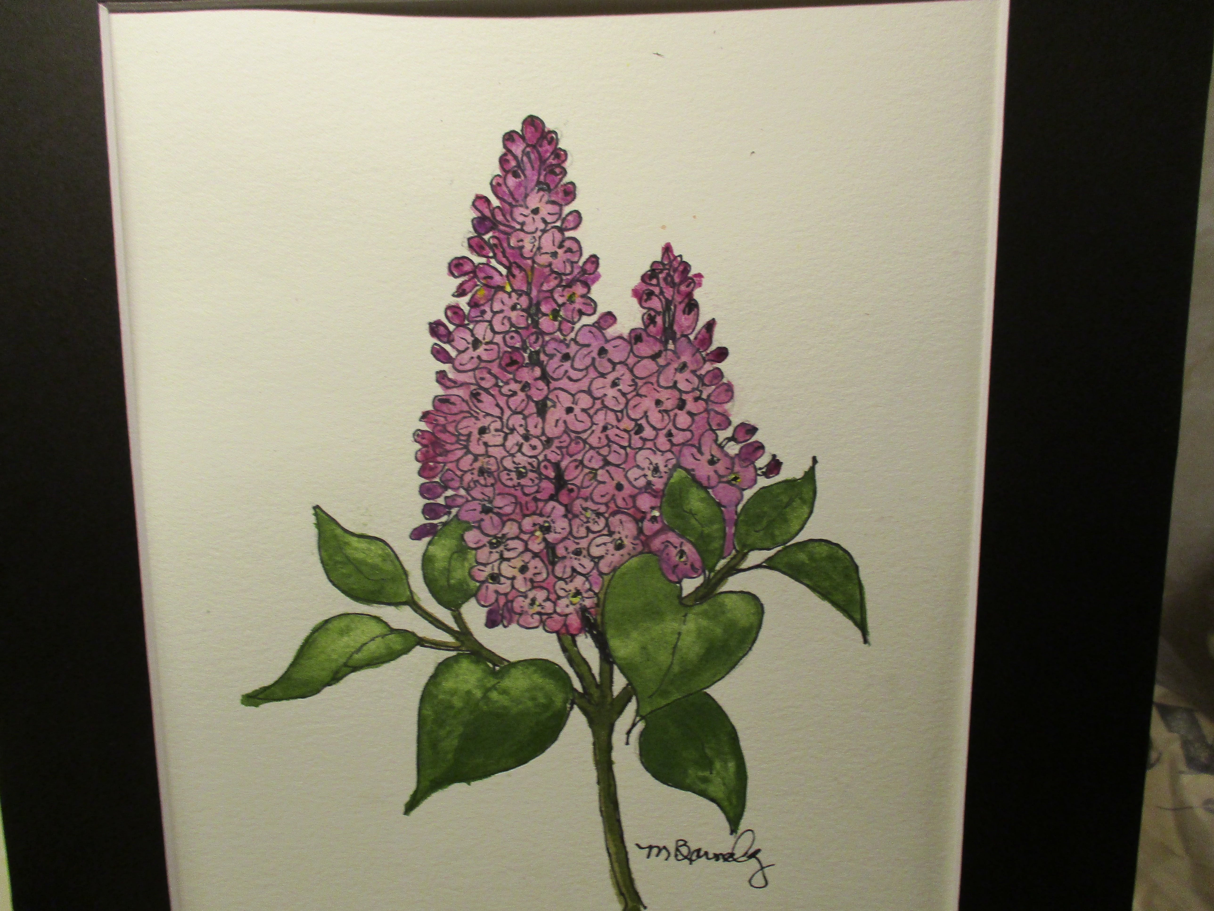 Spring Lilic