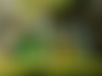 Natural cosmetic bottles, showing sustainability and being recyclable