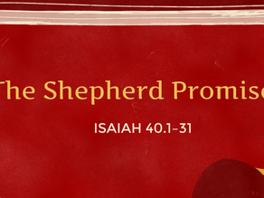 Sunday's Message: The Shepherd Promised!