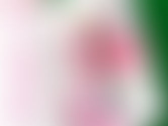 【お知らせ】令和五年 1月度 月替り御朱印
