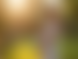 Creative Ideas for Family Pregnancy Photos