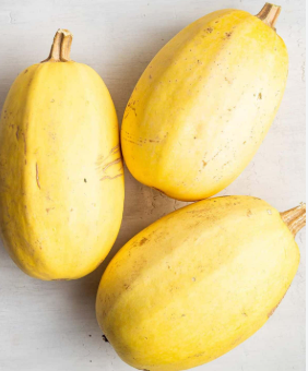 SPAGHETTI SQUASH