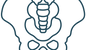 pelvis