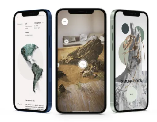 AR App1.webp