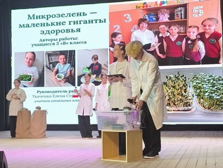 Опыт работы гимназии