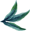 feuille