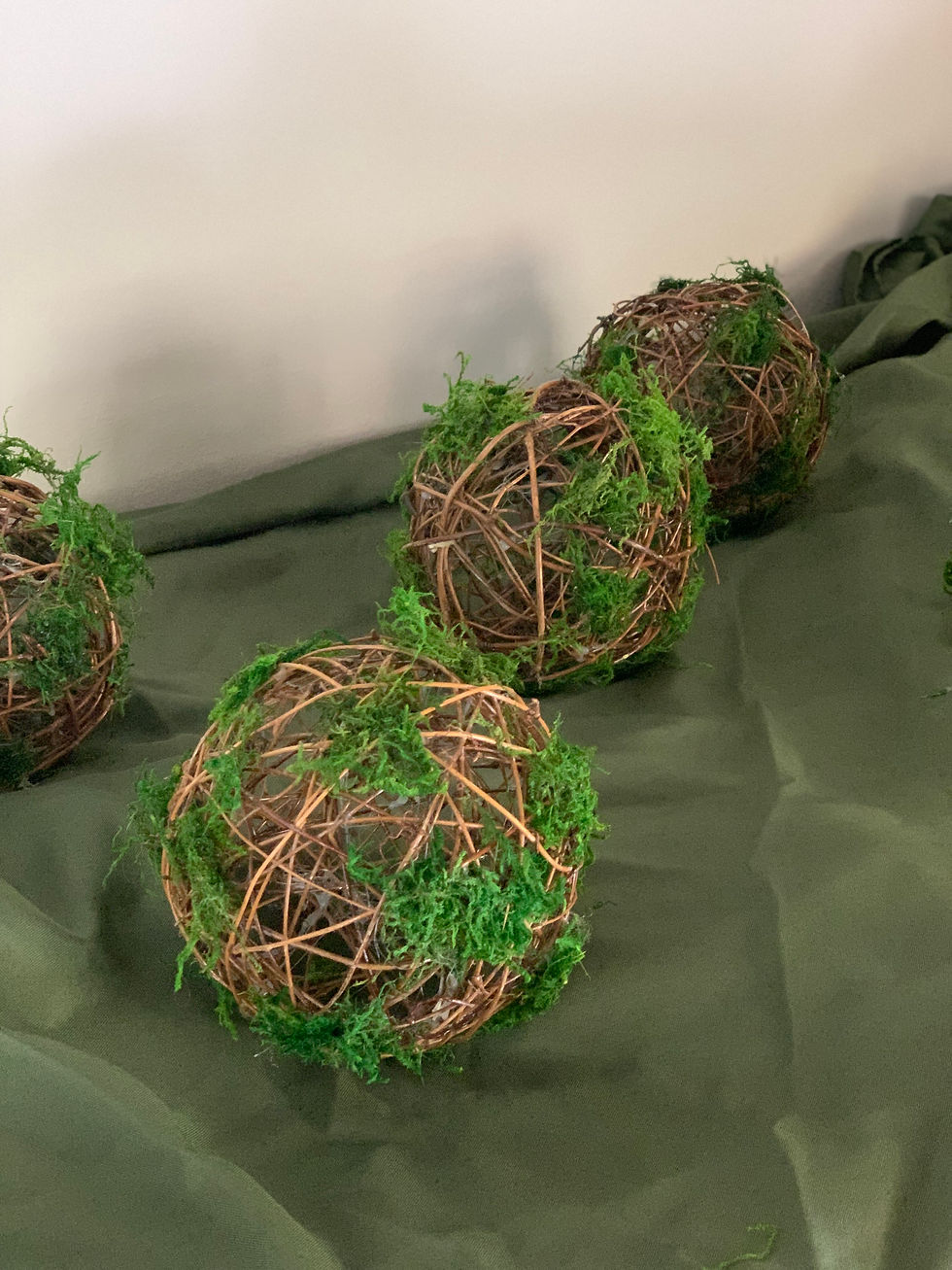 Moss Balls