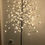 Thumbnail: Cherry Blossom Trees w/ lights