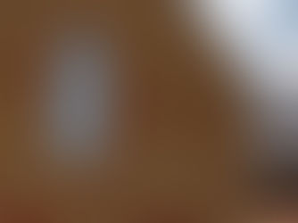 SAVING OUR SWIFTS PROJECT