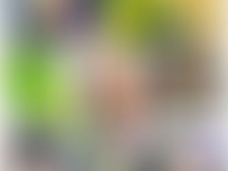 Haven Woods and Young Ealing Foundation