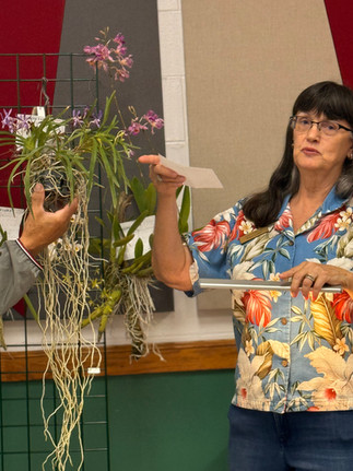 AOS Judge going over the bloom table entries